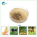 Dry Yeast Feed Yeast Powder 50%55% Poultry Feed